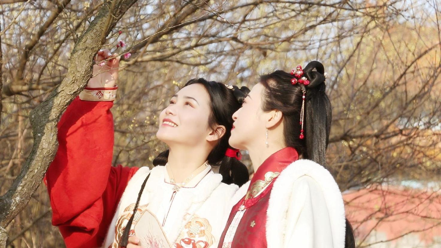 图片4.jpg