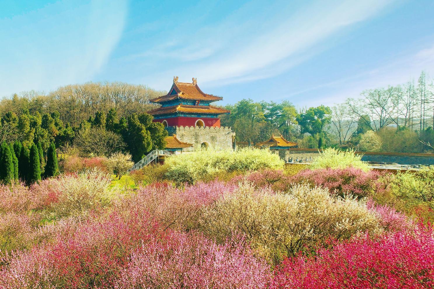 图片1.jpg 图片1.jpg