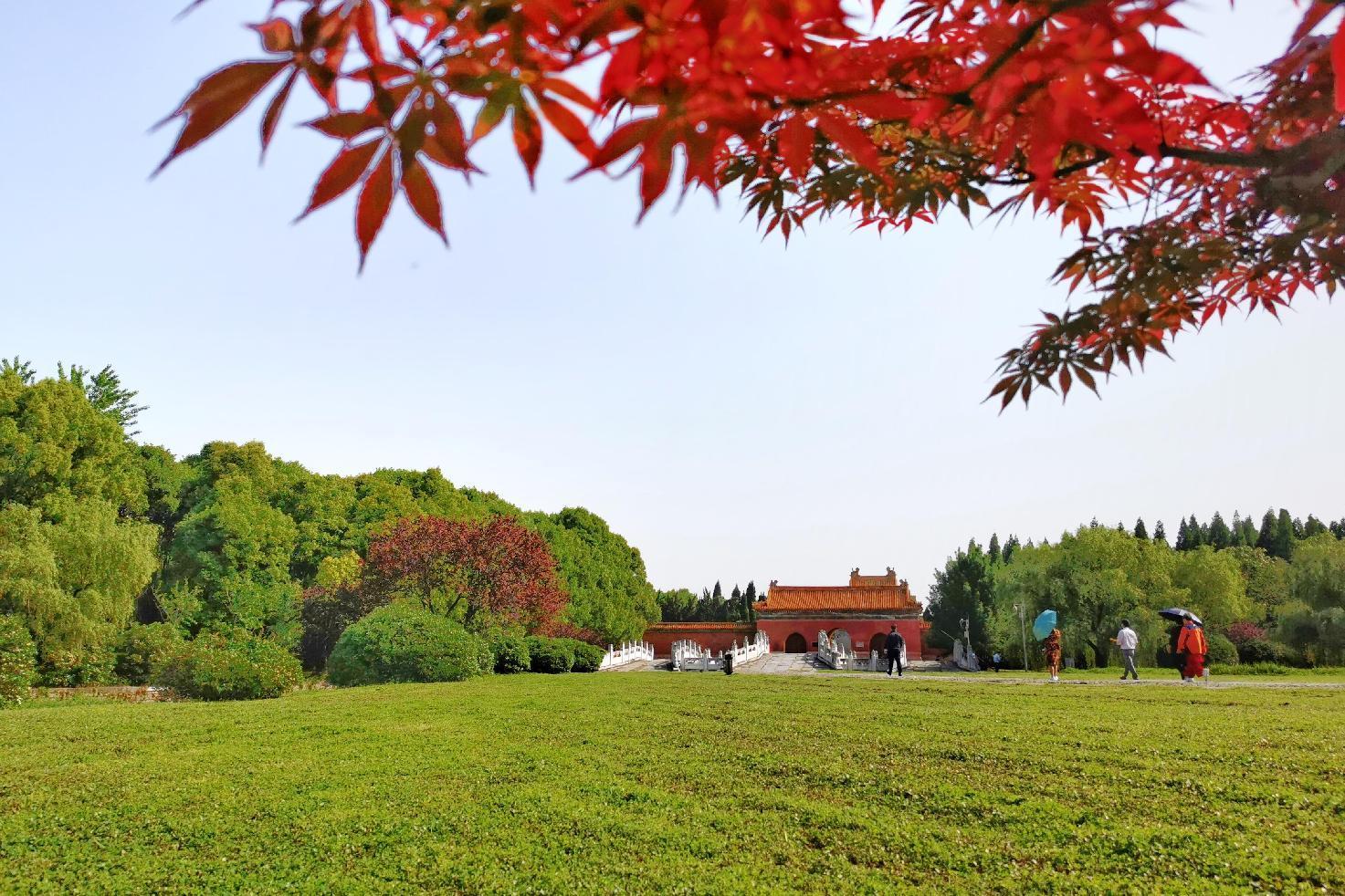 图片5.jpg 图片5.jpg