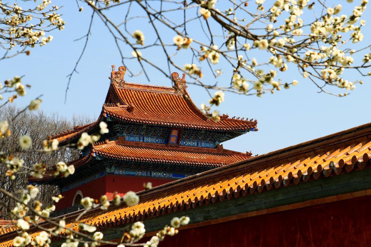 图片20.jpg